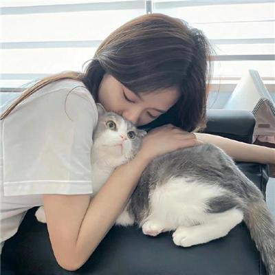 妙探机灵狗